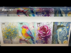 Baosiwei dokusuz boya çözeltisi